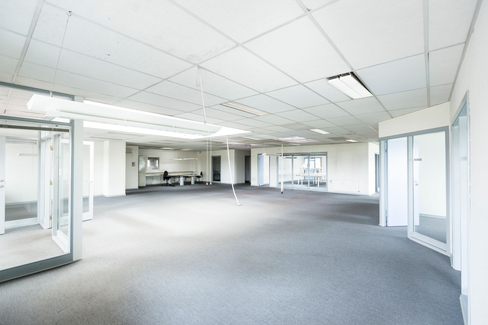 Bright modern commercial office with clean grey carpeting